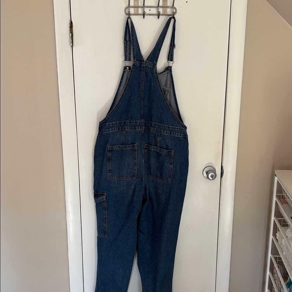 Celebrity Pink Light Blue Denim Overalls - Picture 5 of 7